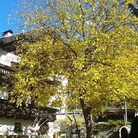 Apartament Huberhof Bressanone Zewnętrze zdjęcie